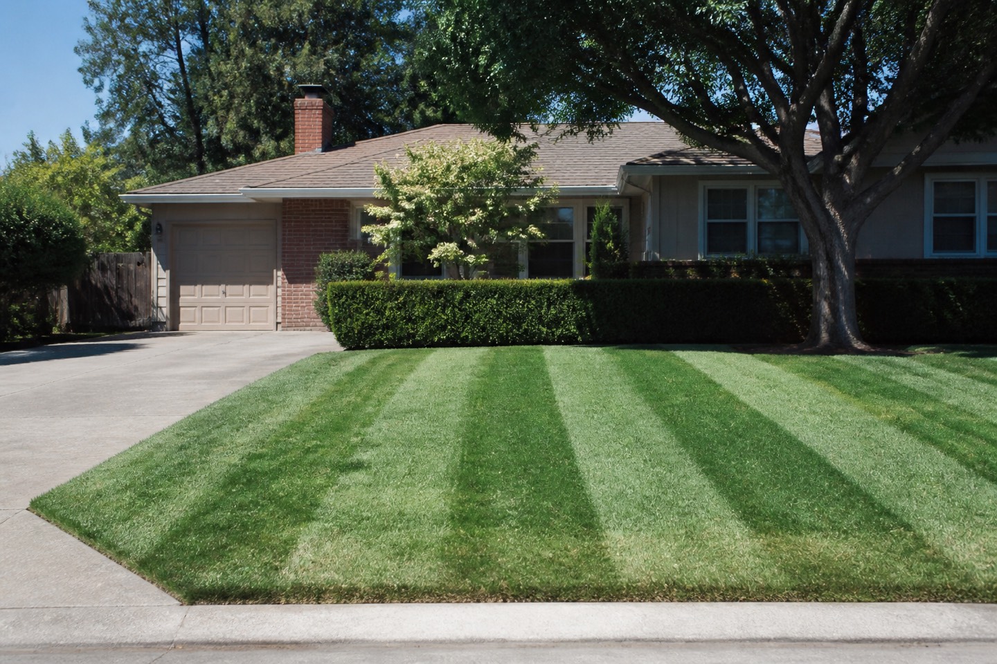 902 Maple Ct, the lawn freshly striped
